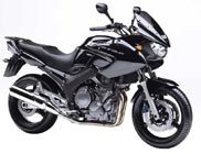 YAMAHA TDM 900 2004-2004