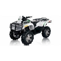 Arctic Cat MUD PRO 1000 2010-2017