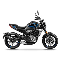 CF Moto 300CL-X 2020-2020