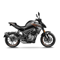 CF Moto 300NK 2020-2020