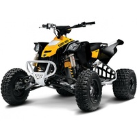 BRP ATV DS 450 2010-2012