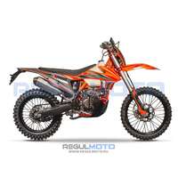 Regulmoto Crosstrec 300 -