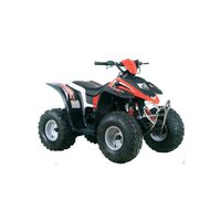 Betamotor ATV 50 2016-2019