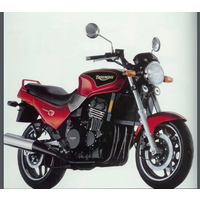 TRIUMPH TRIDENT 900 1992-1996