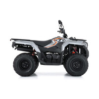 VOGE LONCIN XWOLF 300 -