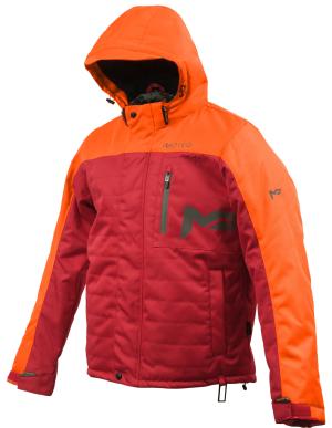 MOTEQ_M02535